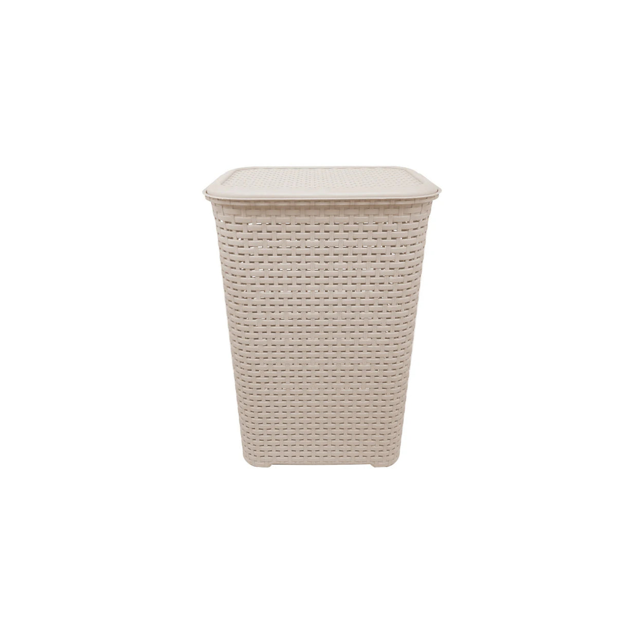 CESTO RATTAN C/TAPA L45.5X33 BLANCO NIEBLA CESR0037